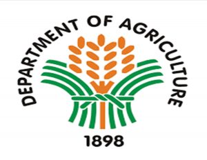 MMSU to continue as a great leverage for DA’s vision of a future agriculture”